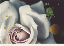 見言讀書會｜“以心證史”：魏微小說研讀她能深入每個人的內(nèi)心世界去，去體悟、感受人物的心靈世界……[詳細]