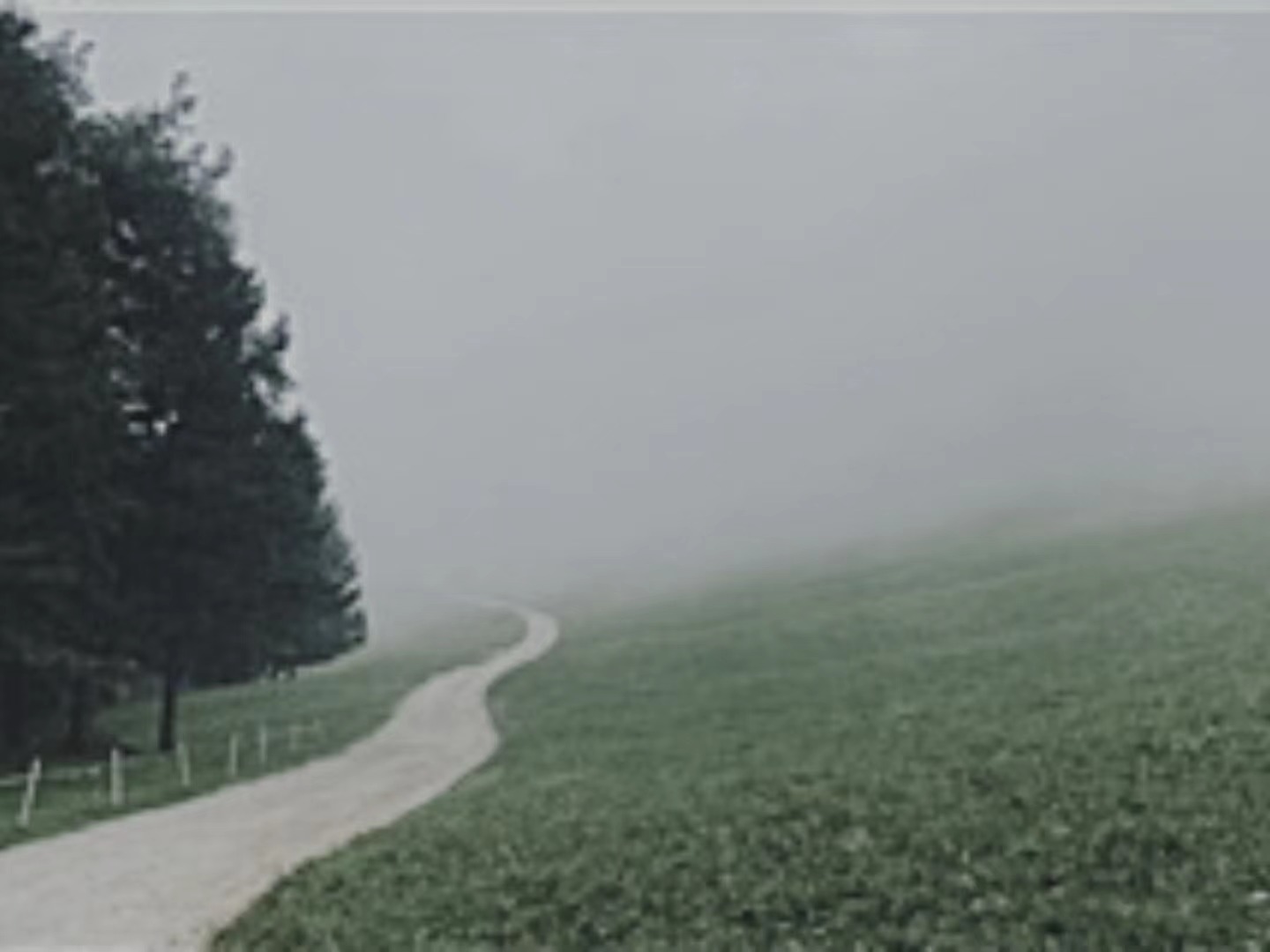 【輯一】南部山區(qū)：有時(shí)在大風(fēng)中，群山似乎在奔跑走在山間公路上/山崖在左，溪水在右/轉(zhuǎn)過兩座山，山崖到了右邊，溪水來到左邊[詳細(xì)]