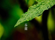《谷雨》過了清明，就是谷雨。村莊里，田野里，村路上，草木間，人家的院落里，人們的臉上，到處都是春天的閑意思了。[詳細(xì)]