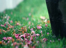 《雨水》轉(zhuǎn)眼就過了正月十五。芳村這地方，過了十五，才算是過了年。老輩子的風(fēng)俗，十五看燈，十六游百病。[詳細(xì)]