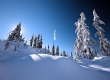 《大寒》這個時節(jié)，天短，日頭地兒就顯得格外金貴。一進(jìn)臘月，過事兒的多了起來。[詳細(xì)]
