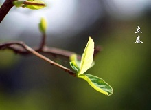 《立春》大年三十這一天，天難得放晴了。村子里到處明晃晃的，陽光映照著雪地，仿佛琉璃世界。[詳細(xì)]
