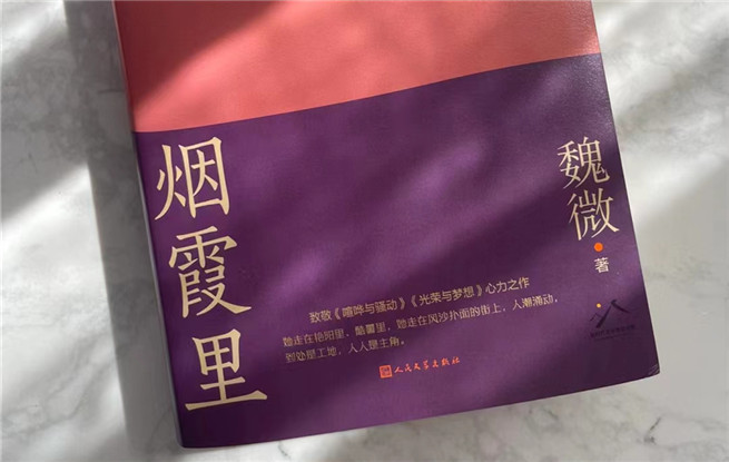 【特約評(píng)論】魏微：抒情為表，史詩(shī)為里