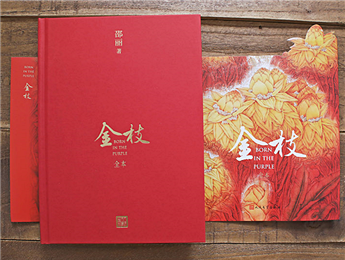 《金枝》：“虛置的父權(quán)”，使父親的角色無比尷尬