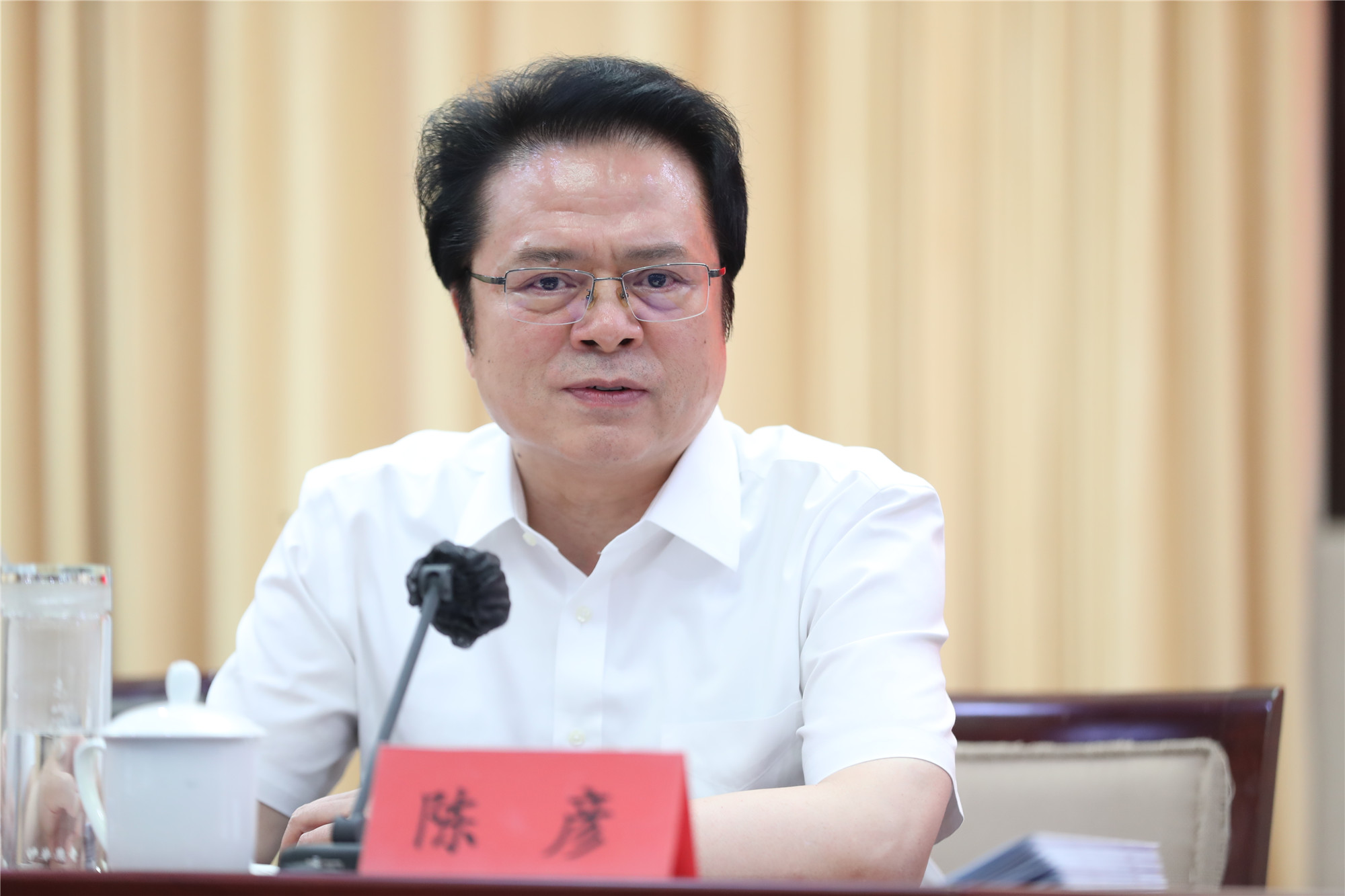 中國(guó)作協(xié)黨組成員、副主席陳彥主持會(huì)議