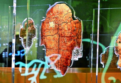 河南安陽殷墟博物館新館內(nèi)展出的刻辭卜甲。 新華社記者 李安攝 