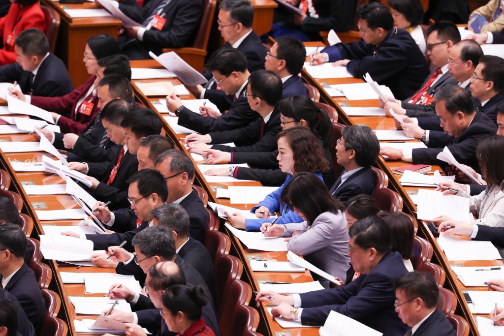 3月8日，十四屆全國人大二次會議在北京人民大會堂舉行第二次全體會議。新華社記者 王婧嬙 攝