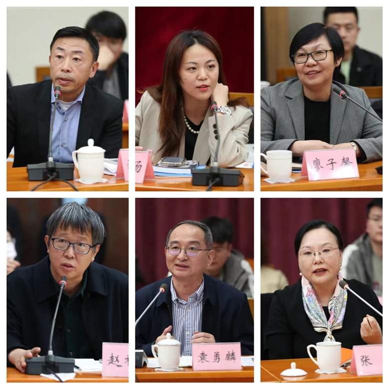 游江、程皎旸、廖子馨、趙稀方、袁勇麟、張莉發(fā)言
