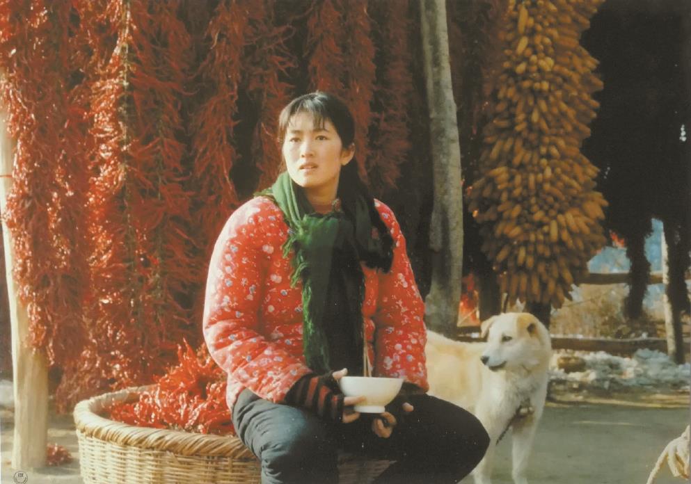 劉恒擔(dān)任編劇的電影《秋菊打官司》曾獲得第49屆威尼斯電影節(jié)金獅獎、第13屆中國電影金雞獎最佳故事片獎等獎項。