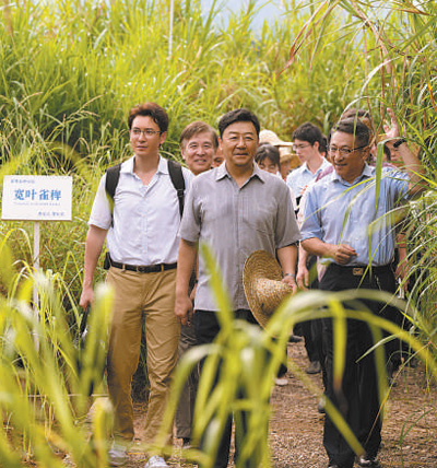 　　圖為電視劇《幸福草》劇照。 　　片方供圖