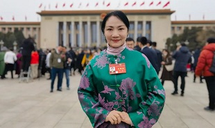 全國政協(xié)委員、山西藝術(shù)職業(yè)學(xué)院黨委委員、副院長苗潔